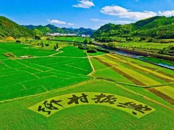 农业致富种植项目_致富种植农业策略研究_农业种植致富策略