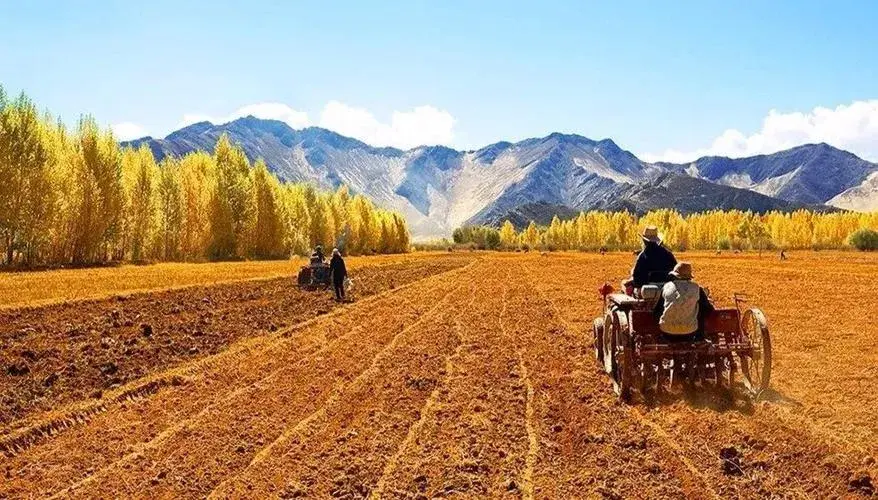 农业致富种植项目_致富种植农业策略研究_农业种植致富策略