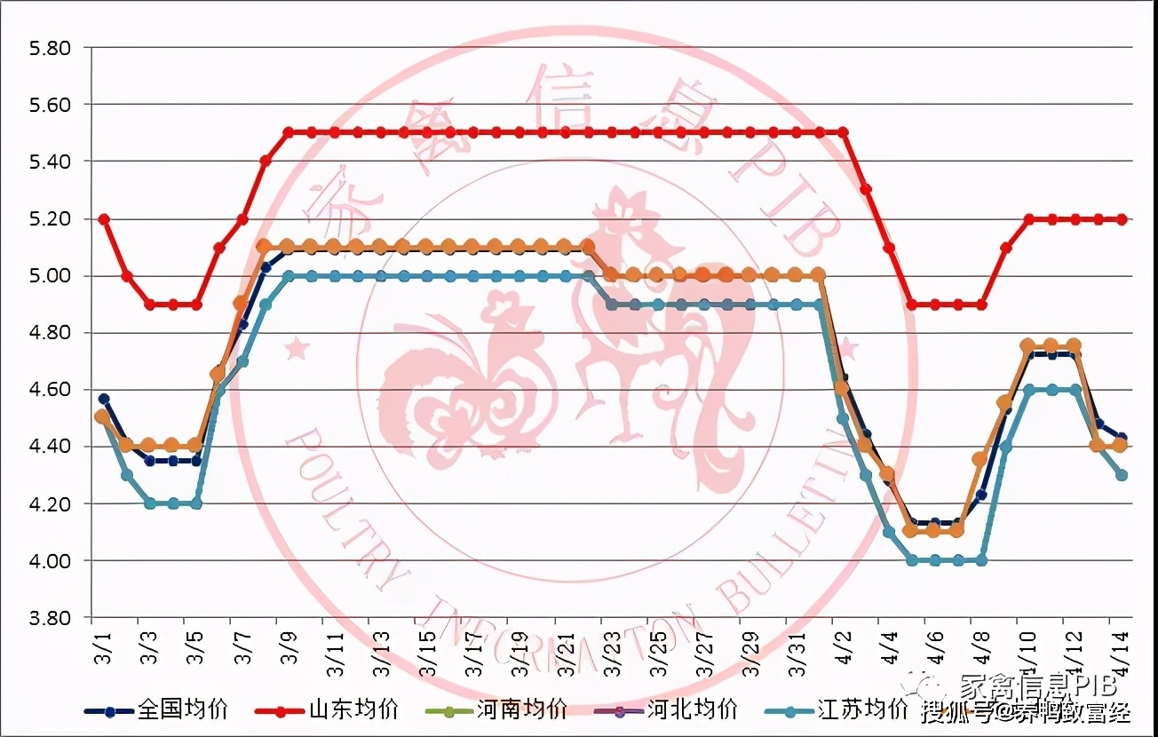 养殖致富经_养殖致富之路_养殖致富秘密