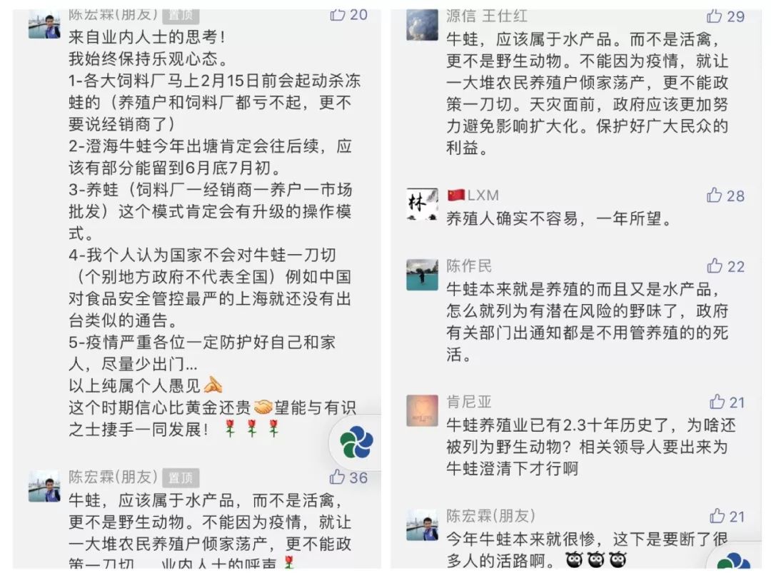 致富经养龟视频全集单凯_致富经养龟视频全集_致富经草龟养殖视频