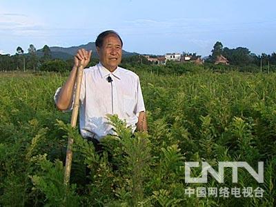 黄雄芳余甘果致富商机种下苦果之后引发的财富(9月23日21