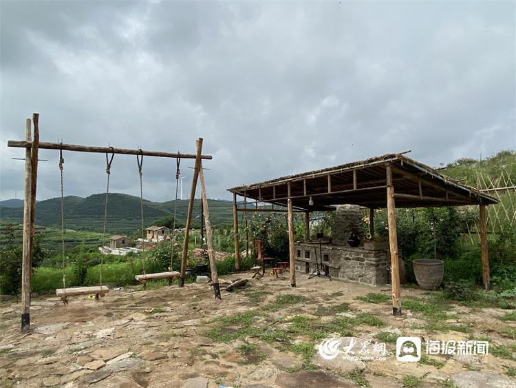 烟台种植甘蔗致富_烟台致富甘蔗种植基地_山东甘蔗种植基地价格