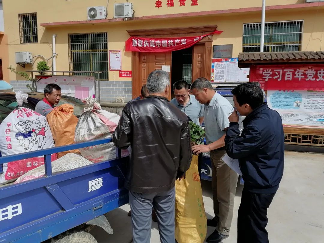 这些黄精 种植致富_这些黄精 种植致富_这些黄精 种植致富