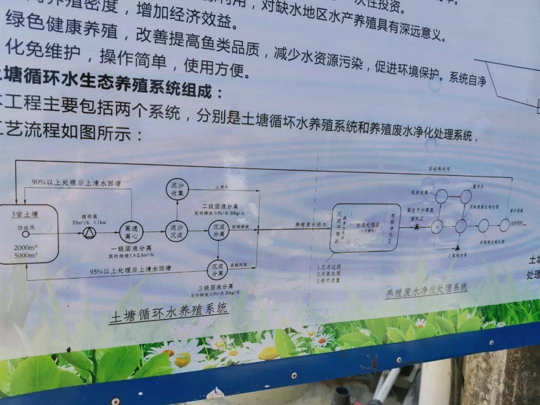 桂花鱼养殖成本及利润_桂花鱼养殖技术及成本_桂花鱼养殖成本计算