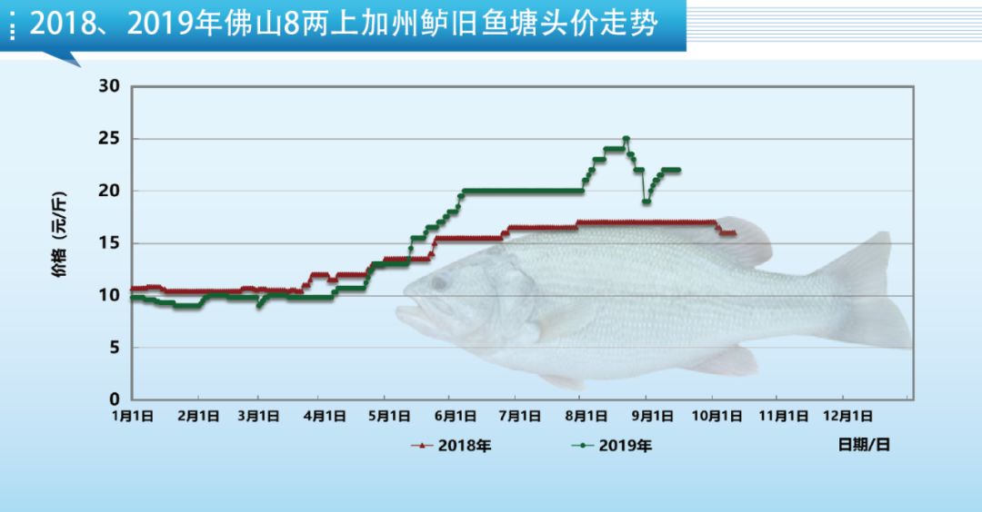 今年最“吸金”的鱼之一！加州鲈养殖11个要点分享，建议收藏！