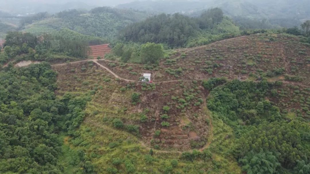 致富种植特色评论文案_种植致富案例_种植 特色 致富 评论