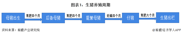 预见2023：一文深度了解2023年中国生猪养殖行业市场规模、竞争格局及发展前景