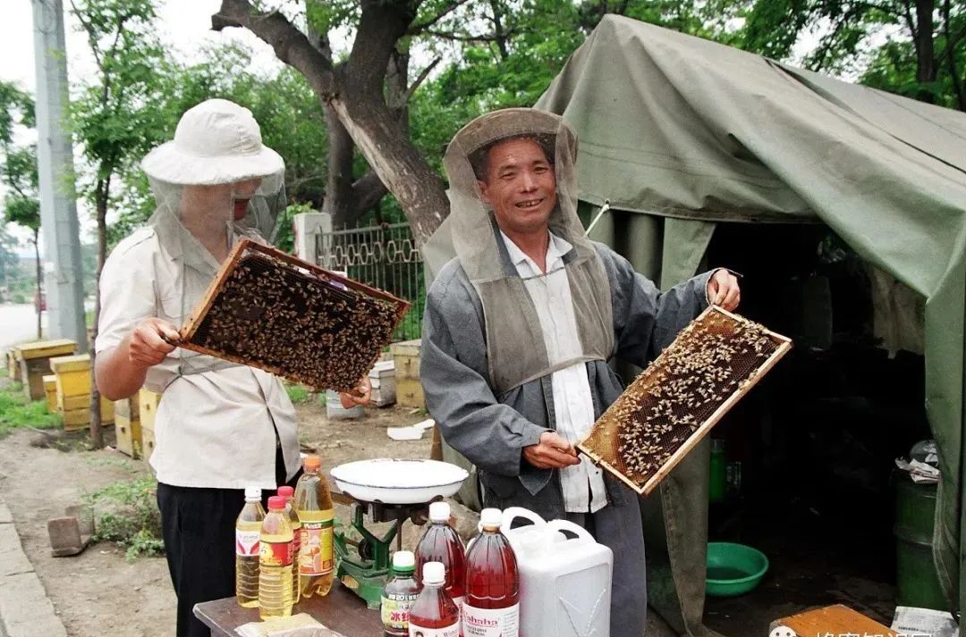 致富经蜜蜂过冬_蜜蜂致富过冬图片_蜜蜂过冬管理视频