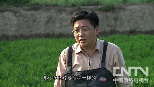 cctv7 致富经种植_致富种植视频全集_致富种植什么比较赚大钱