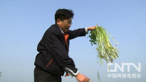 致富种植视频全集_cctv7 致富经种植_致富种植什么比较赚大钱