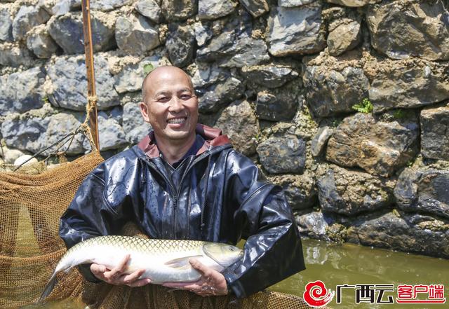 家庭农场负责人黄祖强在展示养殖的草鱼。吴永才 摄