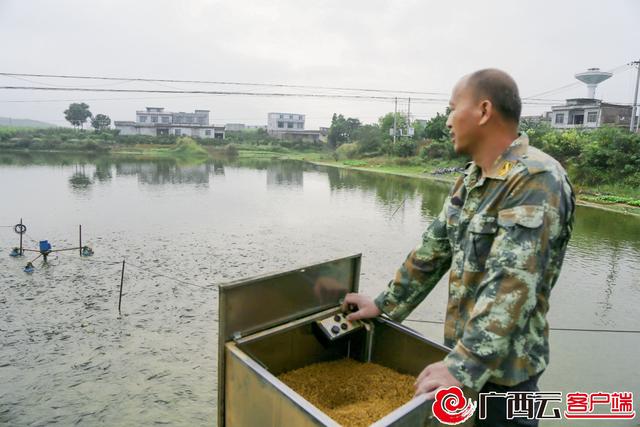 黄祖强正在用自动投料机投喂鱼料。吴永才 摄