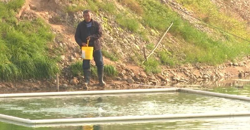 致富养殖水产行业怎么样_水产养殖业致富项目_水产养殖行业致富