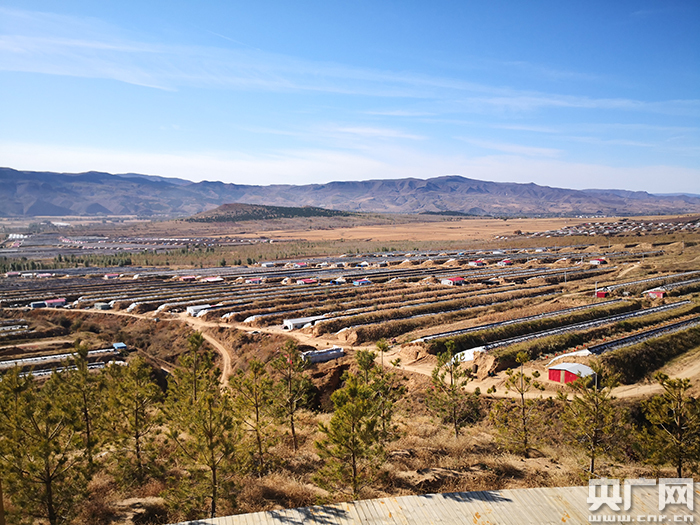 福建西红柿种植时间_西红柿养殖基地_福建种植西红柿致富