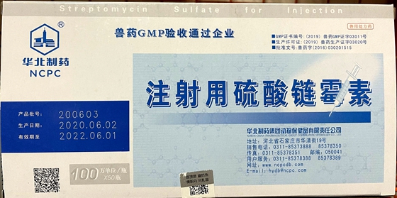 鹅的养殖方法和技术_盐藻室外养殖方法及养殖地_大鸡养殖技术和方法