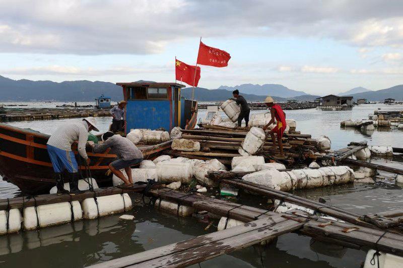 海洋养殖产品_海洋上养殖致富_致富养殖海洋上的鱼