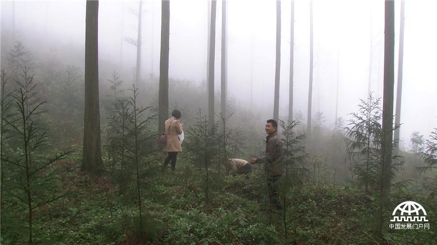 致富之道主持人_致富经主持人_致富经主持人尧璇