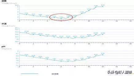 福州小龙虾养殖基地_福州养殖龙虾致富_福清小龙虾养殖场