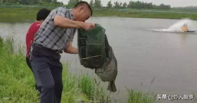 福州养殖龙虾致富_福州小龙虾养殖基地_福清小龙虾养殖场