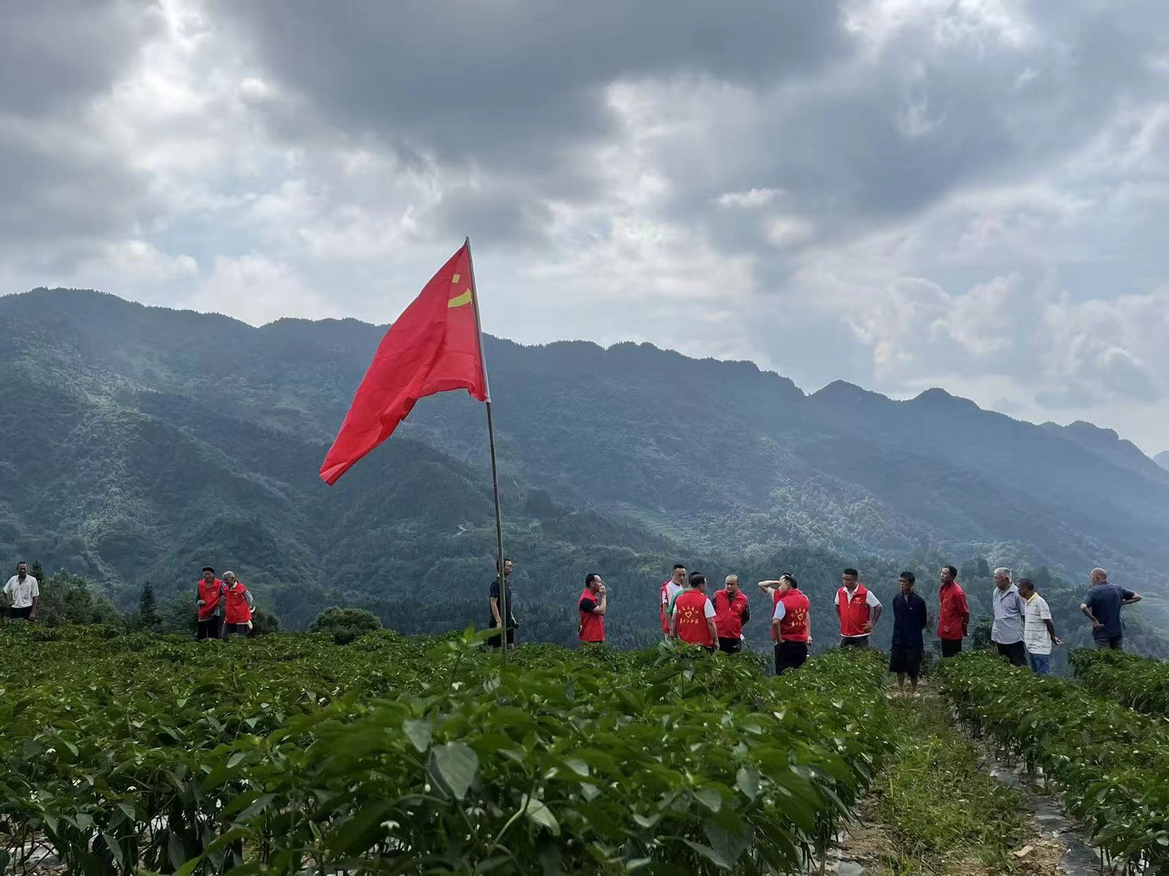 种植辣椒走上致富_辣椒种植利润如何_辣椒致富经