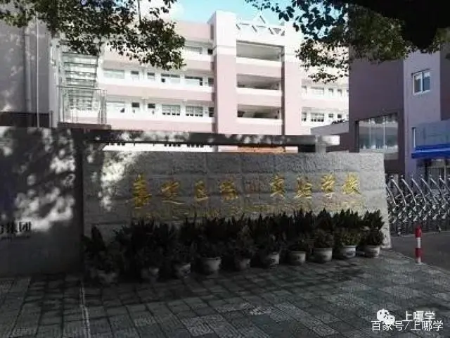 引进优质民办教育的利弊_民办学校人才引进_引进民办优质学校经验材料