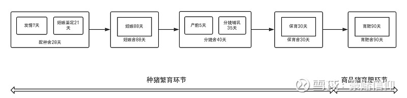 养猪行业初探（5）-养猪流程、模式及思路