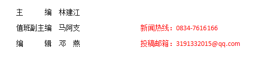 致富蔬菜室内种植视频_室内种植蔬菜致富_家庭室内蔬菜种植