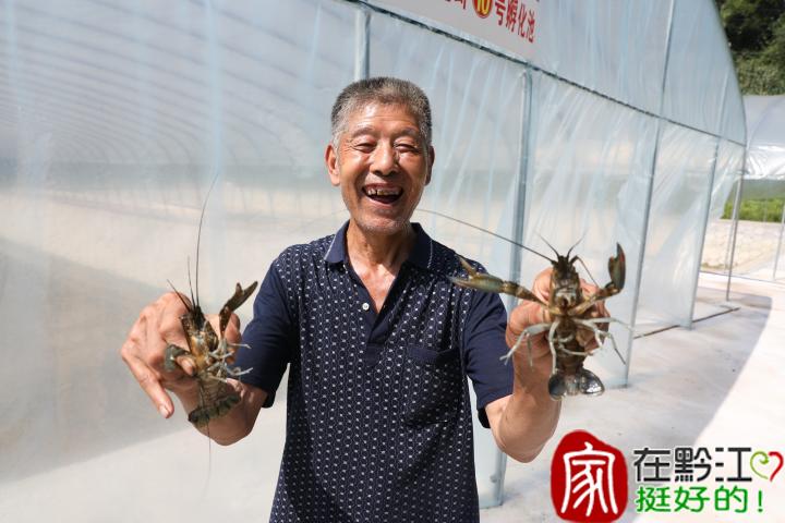 家庭室内蔬菜种植_致富蔬菜室内种植方法_室内种植蔬菜致富