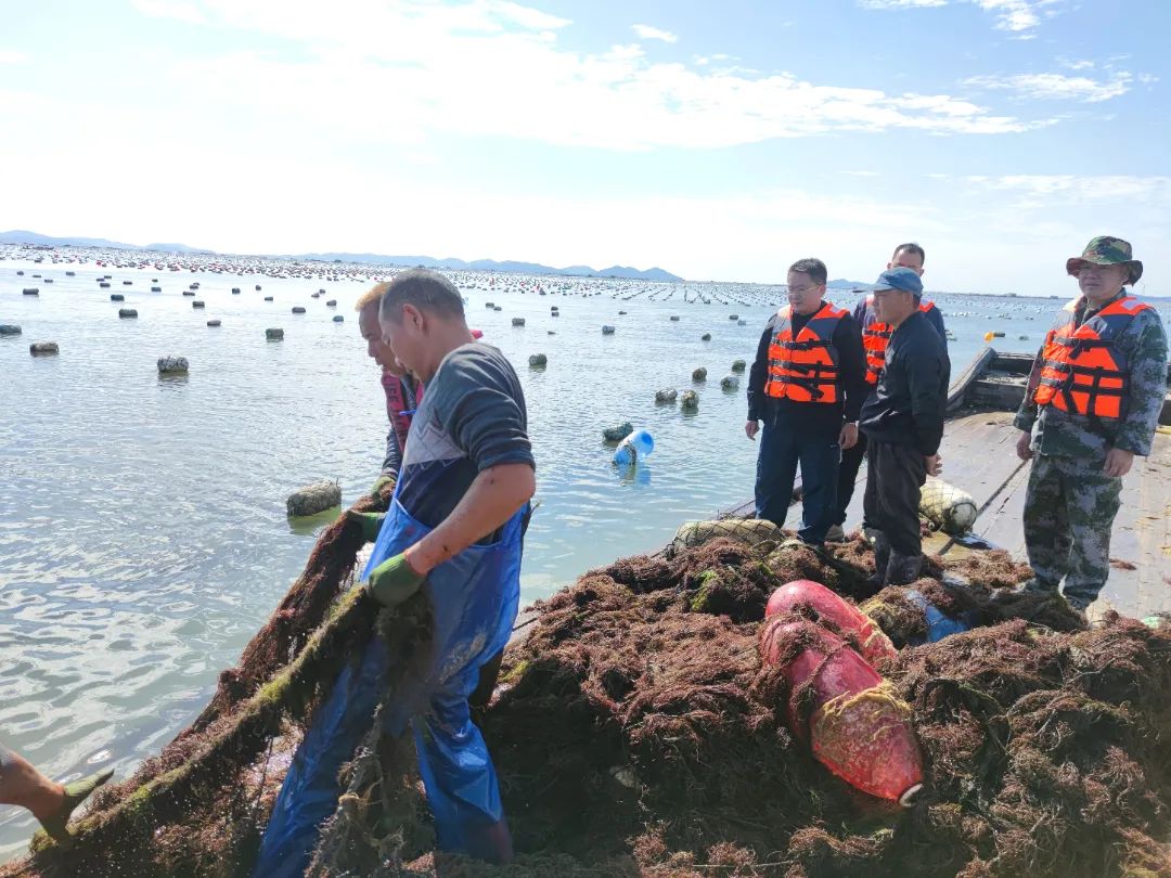 沿海养殖致富点_沿海致富养殖点在哪_沿海致富养殖点有哪些