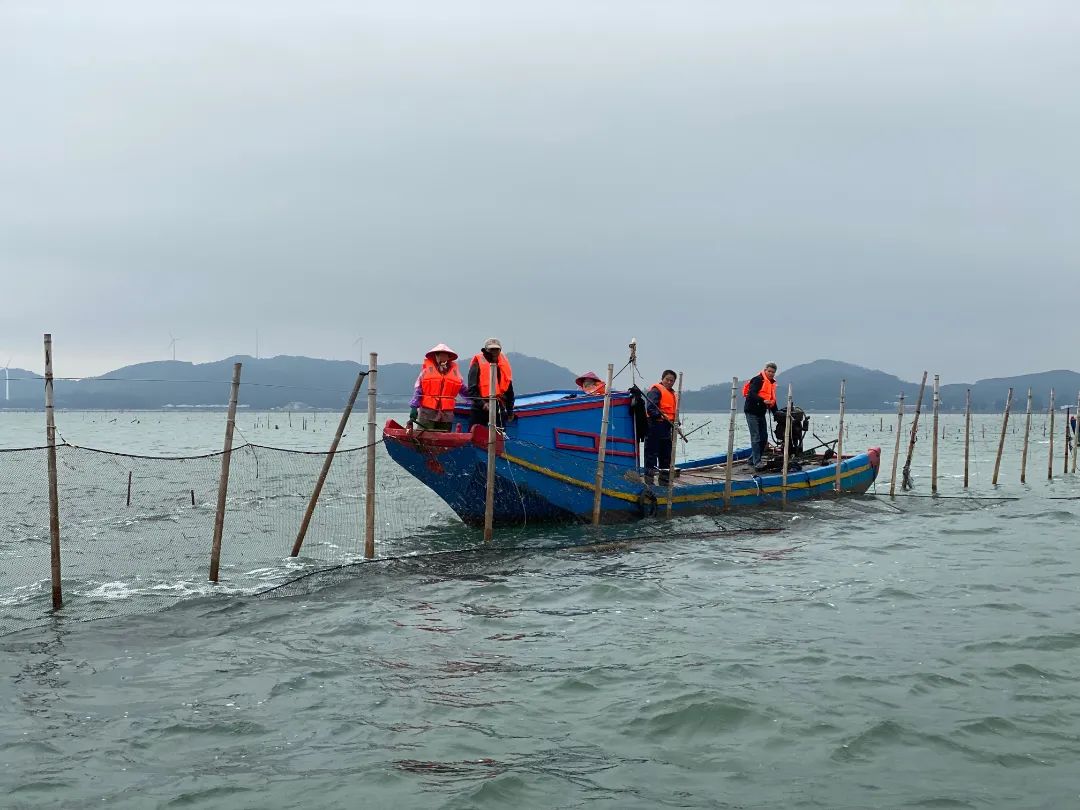 沿海致富养殖点在哪_沿海养殖致富点_沿海致富养殖点有哪些