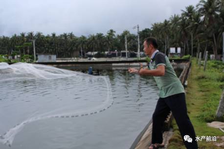 沿海致富养殖点有哪些_沿海养殖致富点_沿海养殖业