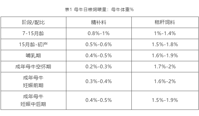 母牛一天多少斤料合适？怎么判断母牛是胖还是瘦？