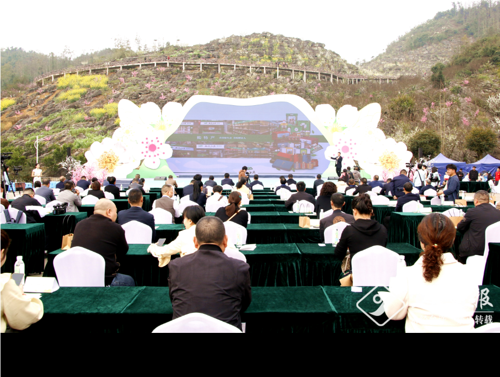 宜宾致富石材_宜宾种植致富模式_宜宾种植基地