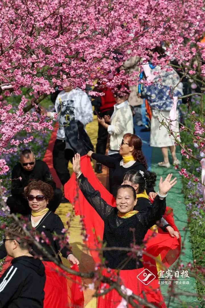 宜宾种植致富模式_宜宾种植基地_宜宾致富石材