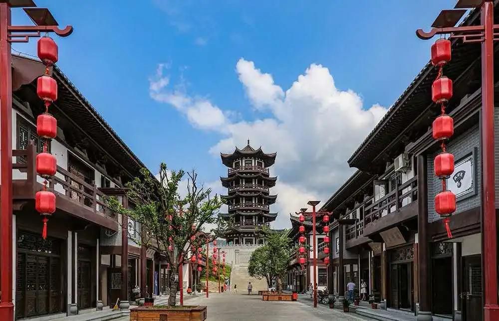 湖北种植绞股蓝致富_绞股蓝种植前景_致富经绞股蓝种植视频