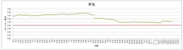 养殖草鱼的技术和视频_致富养殖草鱼方法图解_草鱼养殖致富方法