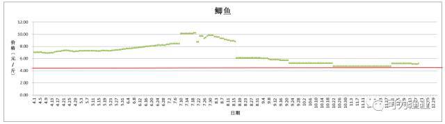 养殖草鱼的技术和视频_草鱼养殖致富方法_致富养殖草鱼方法图解