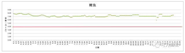 草鱼养殖致富方法_致富养殖草鱼方法图解_养殖草鱼的技术和视频