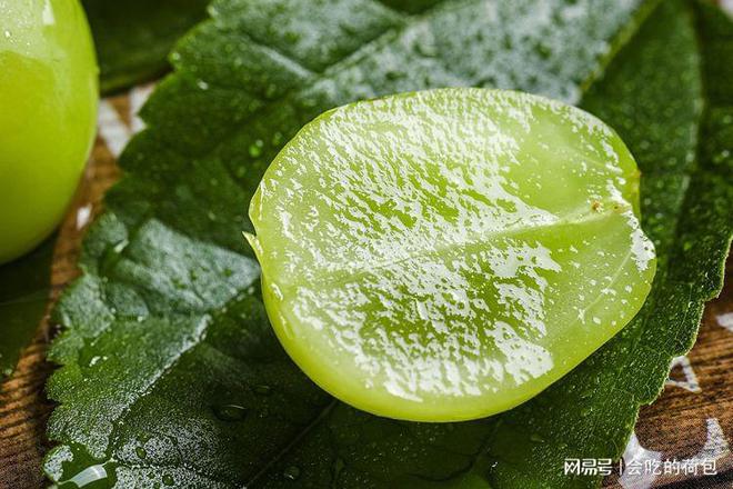 玫瑰香种植技术_玫瑰的种植技术_玫瑰种植方案