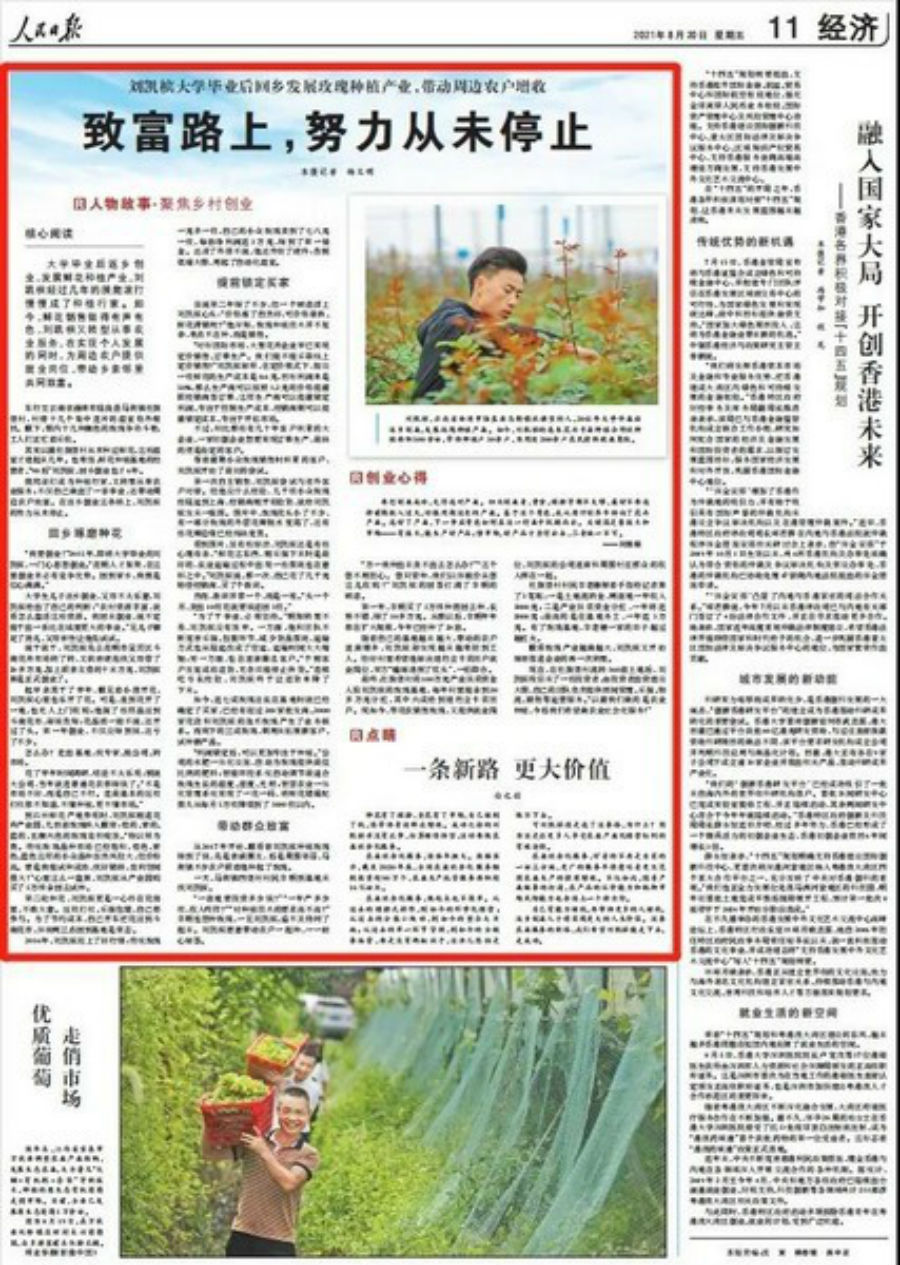 农村种花致富能人_花卉致富种植农民图片_农民花卉种植致富