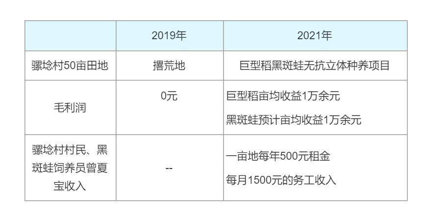 丰收背后的英雄⑤ | 青蛙与水稻共生 增收同生态齐得，背后有何秘籍？