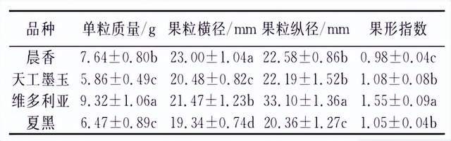 玫瑰香种植技术_玫瑰的种植技术_玫瑰香怎么种植的