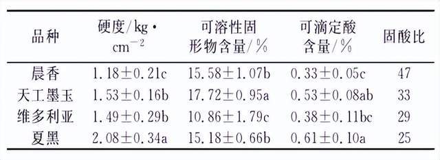 玫瑰香种植技术_玫瑰香怎么种植的_玫瑰的种植技术