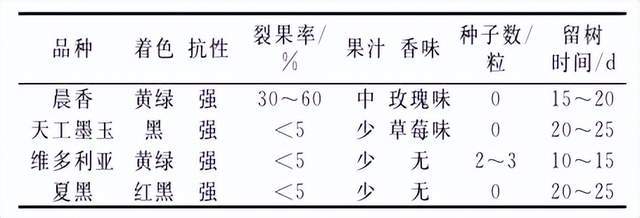 玫瑰香怎么种植的_玫瑰的种植技术_玫瑰香种植技术