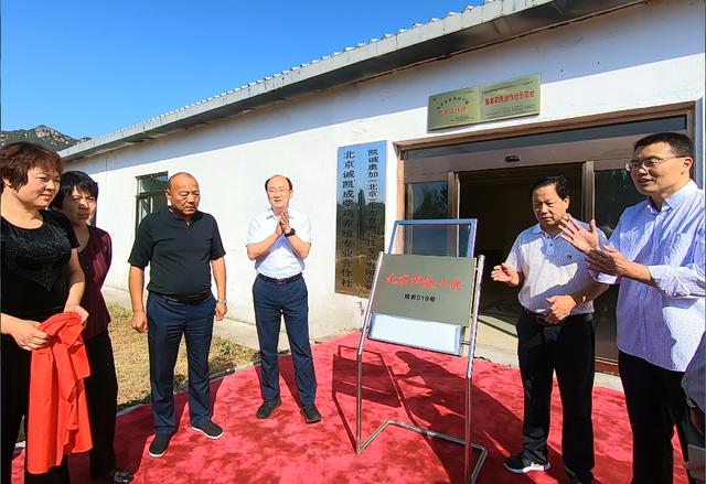 养殖柴鸡需要些什么手续_柴鸡养殖技术基地_养殖柴鸡真的赚钱吗