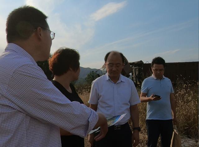 养殖柴鸡需要些什么手续_柴鸡养殖技术基地_养殖柴鸡真的赚钱吗