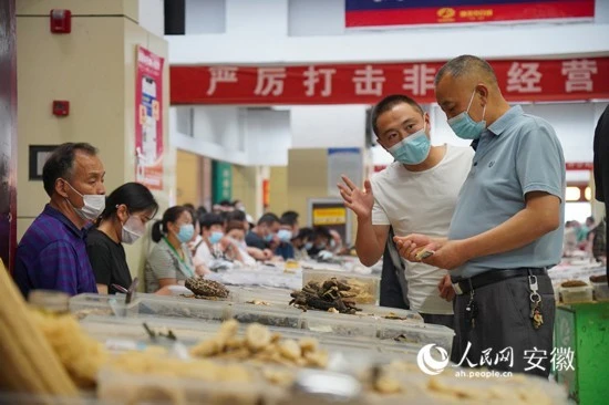 卖中药材的致富经_卖中草药赚钱吗_致富药材卖中药的公司