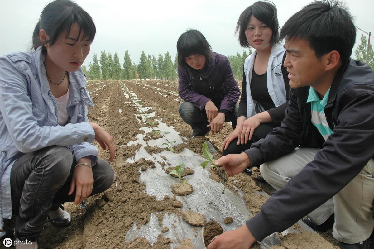 致富养殖农村项目有哪些_养殖农村致富项目_致富养殖农村项目招标