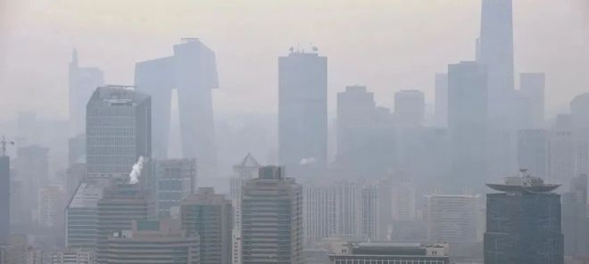 有机质无土种植致富经_致富经无土栽培视频_致富经大棚无土种植