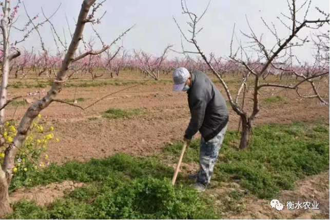 立体养殖致富新闻_特色养殖新闻_致富养殖视频